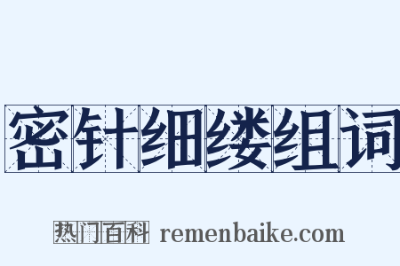 密针细缕组词是什么意思的图片